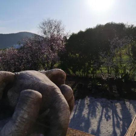 乡村民宿 Finca Del Sol