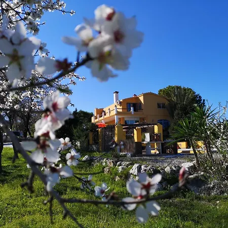乡村民宿 Finca Del Sol