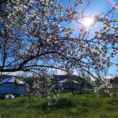 Finca Del Sol 乡村民宿 *