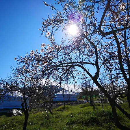 乡村民宿 Finca Del Sol Coín