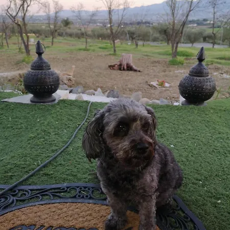 Finca Del Sol * Coín