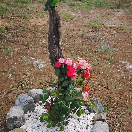 Finca Del Sol 乡村民宿 Coín