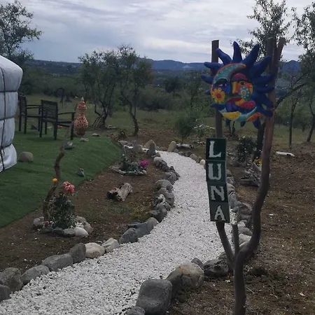 Finca Del Sol 乡村民宿 Coín