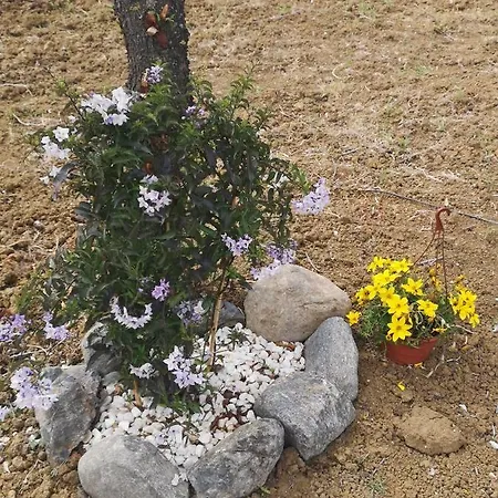 Finca Del Sol 乡村民宿